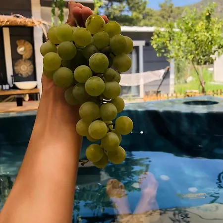 Ferienhaus Isik , A Happy Vacation Story Fethiye