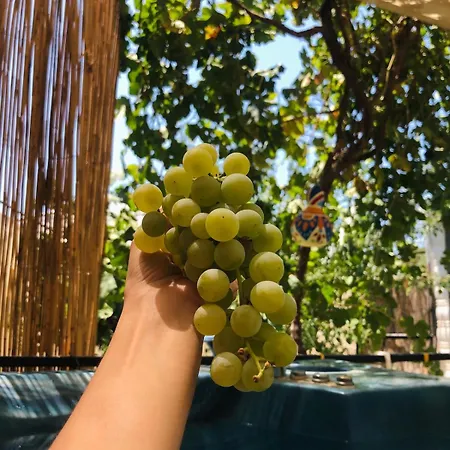 Isik , A Happy Vacation Story Ferienhaus Fethiye