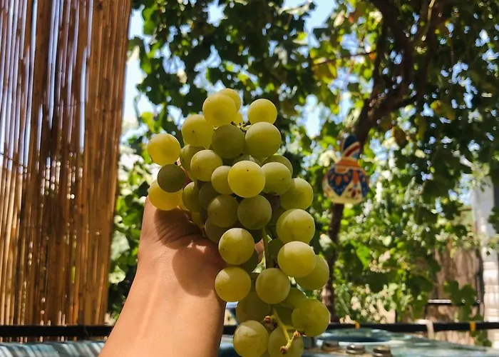 Işık , A Happy Vacation Story Tatil Evi Fethiye