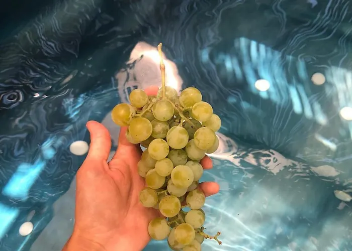 Isik , A Happy Vacation Story بيت للعطل