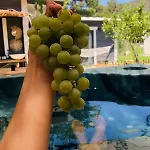 بيت للعطل Isik , A Happy Vacation Story فتحية