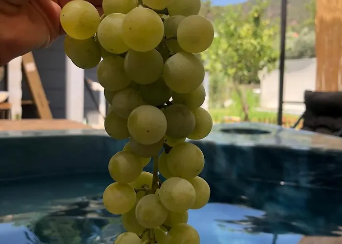 Isik , A Happy Vacation Story Дом отдыха *