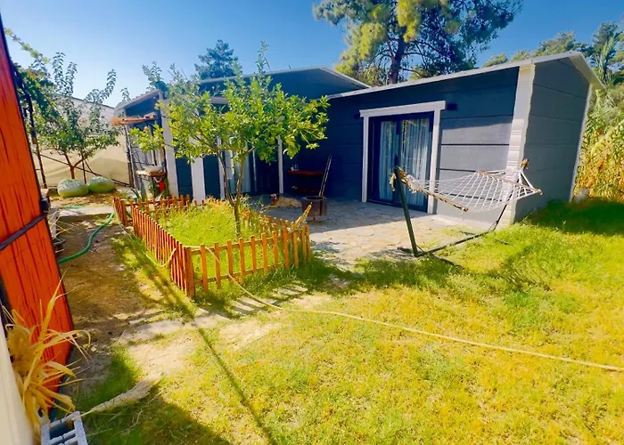 Isik , A Happy Vacation Story